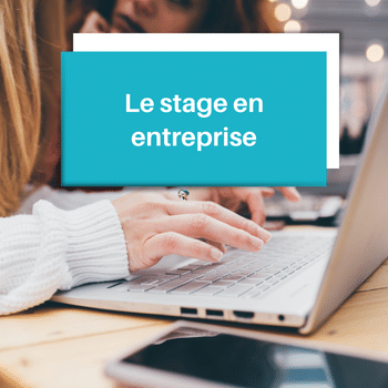 Le stage en entreprise