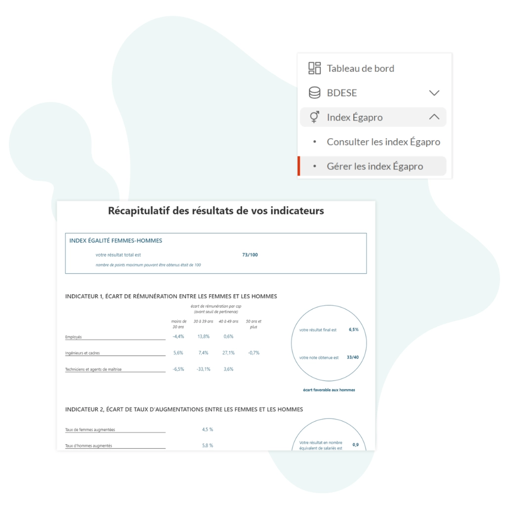Silae BI Index Egapro égalité professionnelle interface